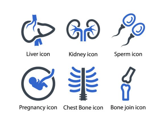 Human Body Organ Icon Set 3 for Designers and Developers